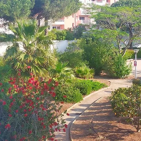 Pour 4 Personnes Proche Du Port Et Des Plages 公寓 *